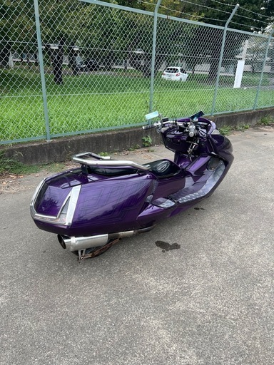 YAMAHA MAXAM ヤマハ　マグザム　SG17J カスタムペイント YAMAHA MAXAM ヤマハマグザムSG17J カスタムペイント (グッピー) 竹橋
