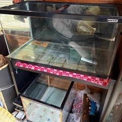 90センチ 水槽　熱帯魚　メダカ　金魚の画像