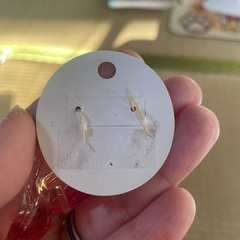 アクセサリー２点セットの画像