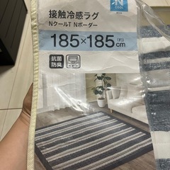 ニトリNクール接触冷感ラグの画像