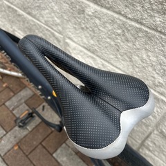 LOUIS GARNEAU　RSR-IVの画像