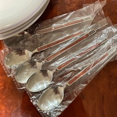 カレー皿とスプーン
の画像