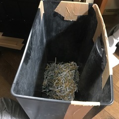 シュレッダー☆フェローズ☆ジャンクの画像