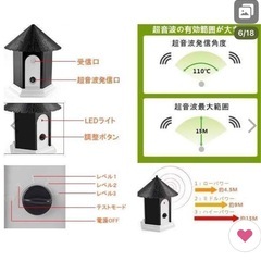 犬　メス　オムツSS 無駄吠え防止の画像