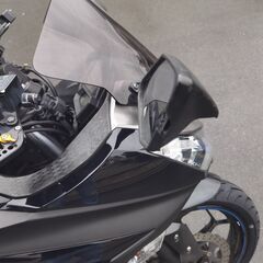 ニンジャ250　前後タイヤ新品　2.1万KM　整備済　カワサキ　Ninja250　フォークシール、エンジンオイル交換済　詳細写真、始動動画ありの画像