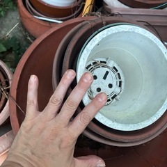 植木鉢　太田市鳥山中町の画像