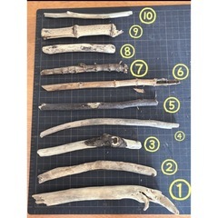 流木　一本300円〜　の画像
