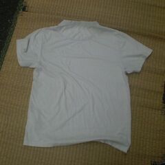 ムーミン　Tシャツ　Mサイズの画像