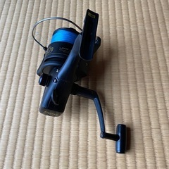 リールの画像