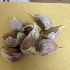 にんにくの画像