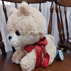 新品🐶ポメラニアン　ぬいぐるみ🐶の画像