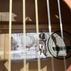 【ジャングルジャングル岸和田和泉インター店】art&lutherie AMI アコースティックギター  楽器 和泉市 堺市 岸和田市 泉大津市 高石市 泉北郡熊取町の画像