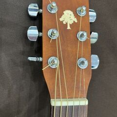 【ジャングルジャングル岸和田和泉インター店】art&lutherie AMI アコースティックギター  楽器 和泉市 堺市 岸和田市 泉大津市 高石市 泉北郡熊取町の画像