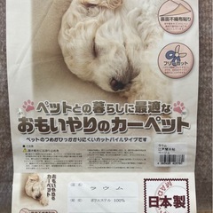 新品  ひらおり平織カーペット8畳用の画像