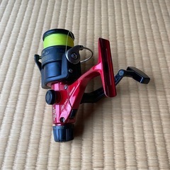 リールの画像