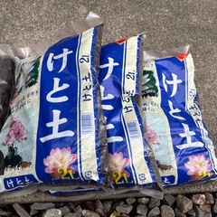 ケト土の画像