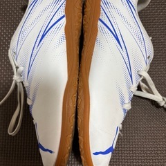 PUMAフットサル室内シューズ22センチの画像