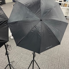 撮影用　照明の画像