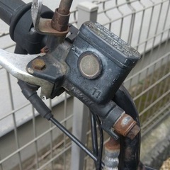 ズーマ　ZXカスタム　キャブ車の画像