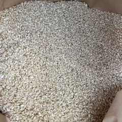 新米 彩のきずな　玄米　30キロの画像