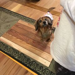 【10/22】わんにゃんお話会の画像