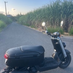 vox50の画像