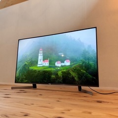 【美品】SONY 49V液晶テレビ【2020年製】の画像