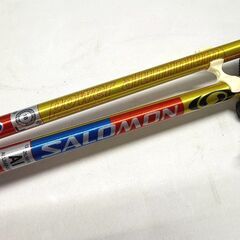 サロモン/SALOMON ストック POWER ALUMINIUM 118cm パワーアルミニウムの画像