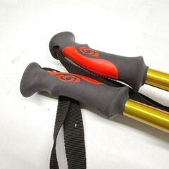 サロモン/SALOMON ストック POWER ALUMINIUM 118cm パワーアルミニウムの画像