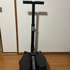 健康ステッパー　ナイスディの画像