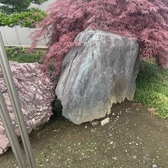 庭石の画像