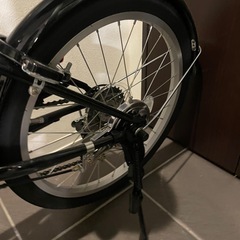 cymaの画像