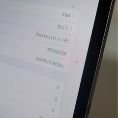 Apple iPad pro 11インチ 256GBの画像
