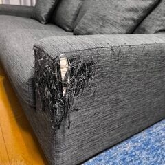 ソファの画像