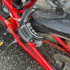 TREK ジュニアマウンテンバイク
の画像
