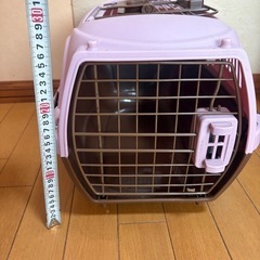 ペットキャリー　バック　ハードケース　小型犬用 の画像