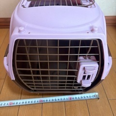 ペットキャリー　バック　ハードケース　小型犬用 の画像