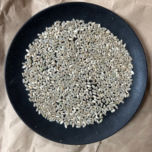 令和7年度産/新米/雪若丸/玄米/30キロ