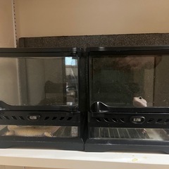 グラステラリウム