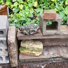 逗子 石材 ブロック ブリックレンガ 瓦 かわら 花瓶 文鎮 置物 ストーンプレート 台座 粘板岩 板状 加工 スクエア 門扉 フェンス エクステリア 生け花 玄関 床材 外壁 内壁 舗装 建築材料 床 水回り 天板 舗装材 壁 石肌 天然石 加工 石碑 飛び石 庭 ガーデニング 境界 路 庭園 装飾品（の画像