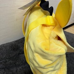 ポケモンのリュック　新品未使用の画像