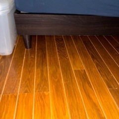 セミダブルベットの画像