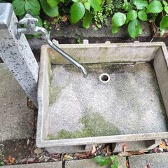 逗子 無料あげます 立水栓の水受け 庭 ガーデニング 水受け ガーデンパン 水鉢 水まわり 庭 ガーデン 洗い場 ペット パン境界 路 庭園 装飾品 花瓶 文鎮 置物 ストーンプレート 台座 粘板岩 板状 加工 スクエア 門扉 フェンス エクステリア 天板 舗装材 壁 石肌　生け花 玄関 床材 外壁 内壁 舗装 建築材料 床 水回りの画像