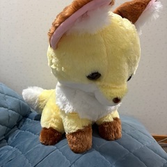 ぬいぐるみの画像