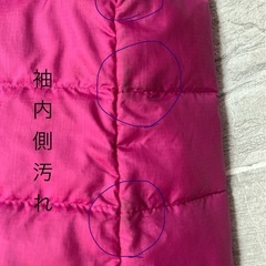 【訳あり】Patagonia パタゴニアダウン（キッズ） ⭐︎５−６歳 用の画像