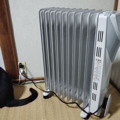 オイルヒーターとテレビ台の画像