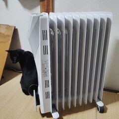 オイルヒーターとテレビ台の画像