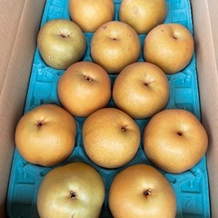 茨城県産　梨の画像