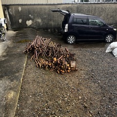 伐採済みの生木を差し上げますの画像