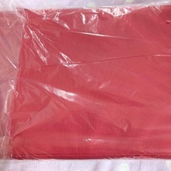 【新品未開封】ロピア　角型保冷バッグの画像